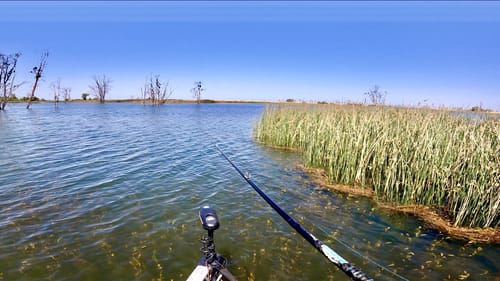 Hot Summer Day of Bass Fishing | This Place Looks Like The CA Delta & Clearlake