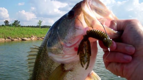 Flipping and Pitching Around Rockpiles for Bass.
