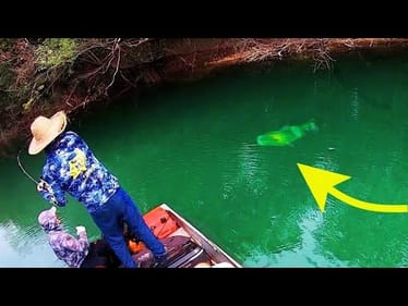 We FOUND GIANT FISH in HIDDEN POND!!