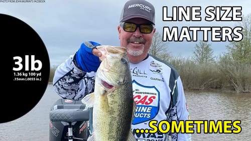 NO SECRET LURE, BUT Downsize Your Line