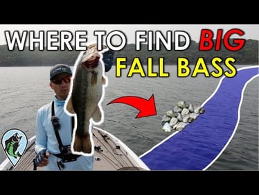 Why You Struggle to Catch Big Bass in the Fall
