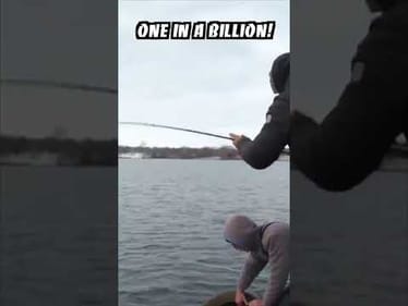Mindblowing Fish Catch!