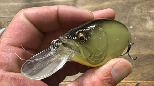 You’ll Never Fish Squarebill Crankbaits The Same Way After Watching This Deal…