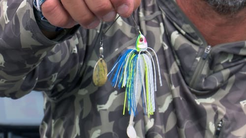 Winter Spinnerbait Fishing | Bass Fishing