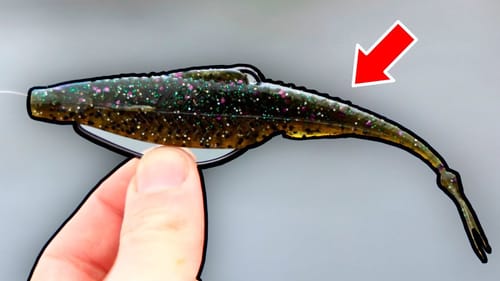 You CAN'T BEAT A Fluke For Spring Bass Fishing!