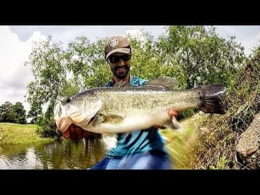 Catching GIANT bass on JIGS - FLOODED CREEK FISHING