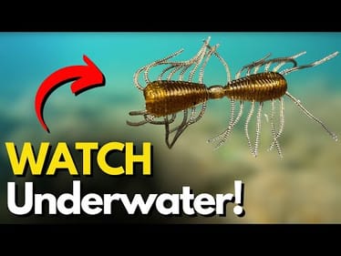 You Seen THIS Underwater? (Rigging Method #4 is Awesome!)