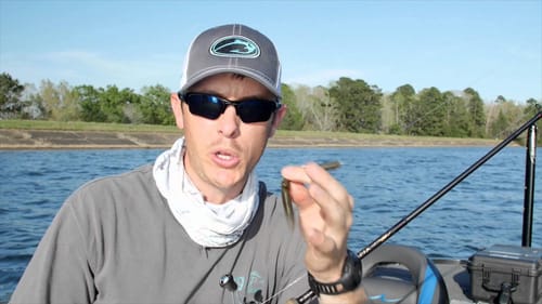 My Top 3 Sight Fishing for Bass Tips