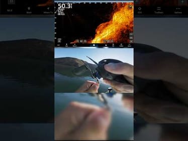 Fishing Tips: Steep Walls with a Bass Union Jig 🏈 #LakeOrovilleGuide #BassUnion #JigFishing