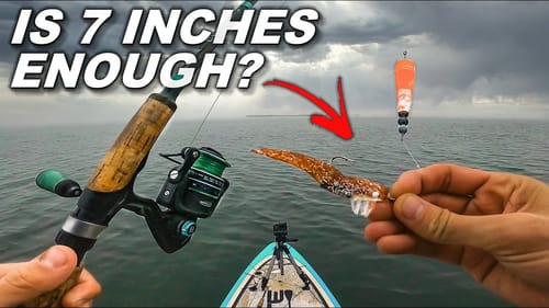 FISHING EXPERIMENT: Popping cork with SHORT drop tested