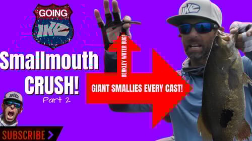 Smallmouth CRUSH! (Part 2)