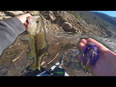 Fishing Steep Canyon Walls with a Purple Jig | Mastering the Fall-to-Winter Transition