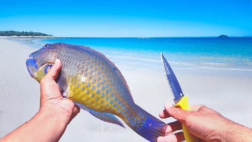 40km Out To Sea - SOLO ISLAND CAMPING - Catch And Cook