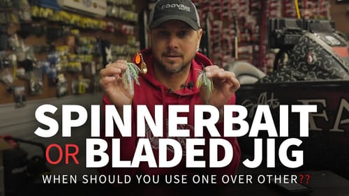 SPINNERBAIT or BLADED JIG (WHEN to throw and WHY!)