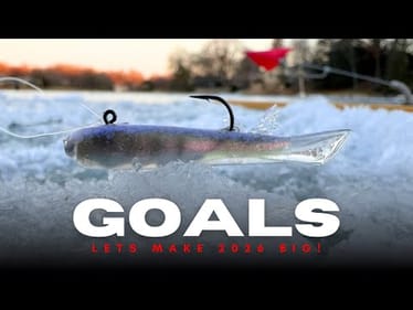 New Goals Incoming For 2026!