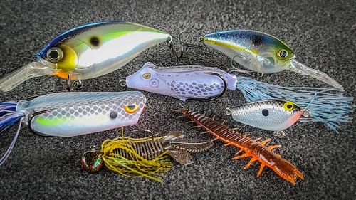 Summer Gear Review! Topwater, Crankbaits, Jigs, and Soft Plastics!