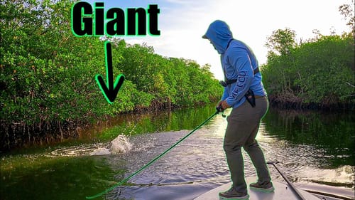 Giant Fish Destroyed The Topwater All Day!
