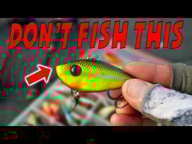 What I WISH Someone Would've Told me about Lipless CRANKBAIT Fishing
