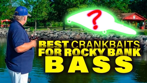 Best Crankbaits for Fishing Rip Rap - Big Bass Secrets & Tips