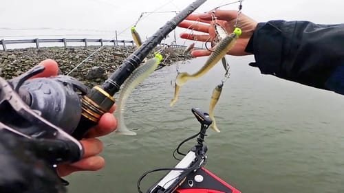 Lake Guntersville Winter Fishing! (UNEXPECTED HUGE CATCH)