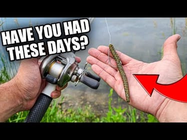 YouTubers Are SCARED to Show This! (Summer Bank Fishing)