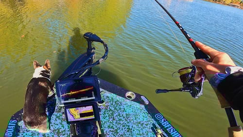 I Was STUCK & Caught The Biggest Fish Of The Day || Fall Bass Fishing Lake Gaston
