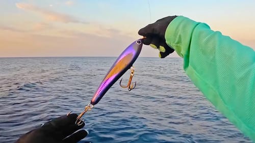 These Fish Have Never Seen Lures Before!