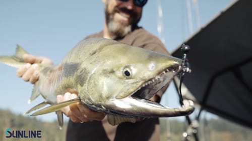 Sunline Trout