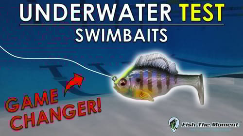 Testing Swimbait Action In Rocks, Wood, And Grass | Underwater Bass Fishing Rig Test