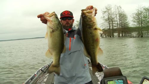 Big Bass Secret Baits - Punchshot & Jika Rig