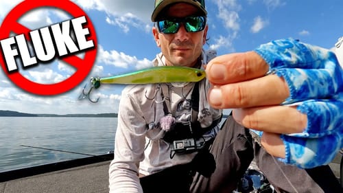 STOP Fishing a Fluke for Bass (This is BETTER!!!)