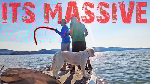 ARTIFICIAL LURES vs. LIVE BAIT Challenge!! (UNREAL RESULTS)
