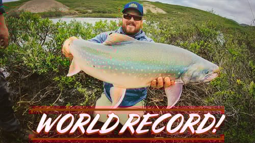 TacticalBassin's Latest World Record! (And How To Get Your Own World Record)