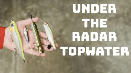 Show The Fish Something Different With These Under The Radar Topwater Baits!