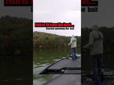 What I WISH Someone Would've Told me About MINNOW  Fishing