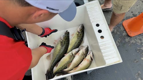 Life Update & 2023 North Valley Club Classic Tournament on Lake Oroville