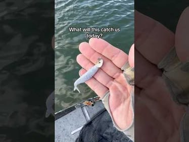 What will this catch me? #fishing