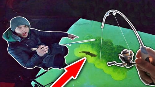 This CRYSTAL CLEAR Mountain Lake is Home to a BUCKET LIST Fish!!