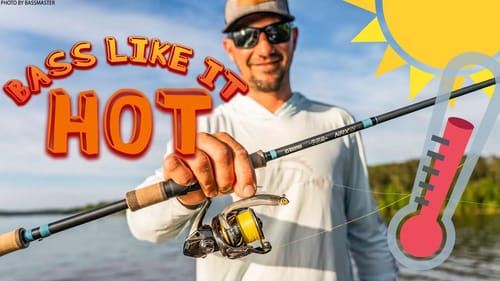 Summer Bass Fishing is TOO EASY