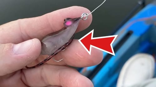 Unbelievable BFS Fishing with the World's Tiniest Mouse Lure!