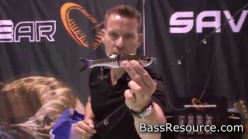 Savage Gear 3D Glide Swimmer | Bass Fishing