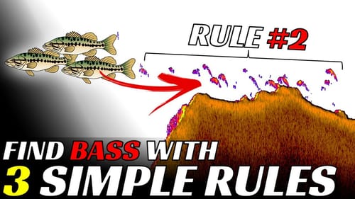 3 Obvious Signs You’re Seeing Bass on a Fish Finder