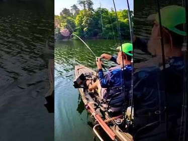 Punch Rig + Open Water 🔥