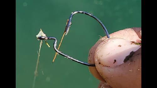 INSANE fishing at residential ponds (unexpected catch)