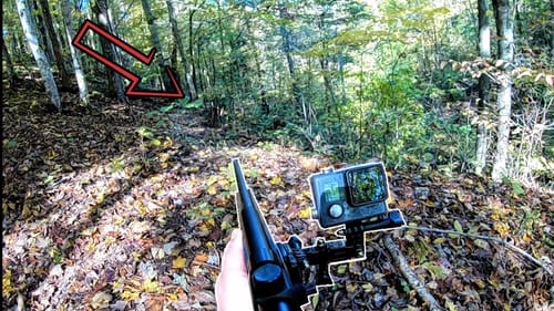 SQUIRREL HUNT!!  CATCH AND COOK || DUMPLINGS ||