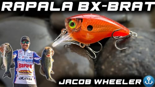 Best Pre-Spawn Finesse Hybrid Squarebill: BX Brat