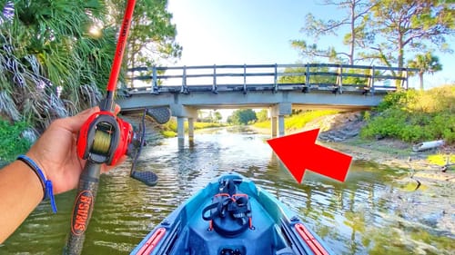 Kayak Fishing SECRET Florida HONEY HOLES (Surprise Catch)