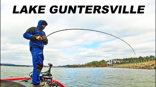 Lake GUNTERSVILLE Winter Tournament! FLW BFL for $5,000