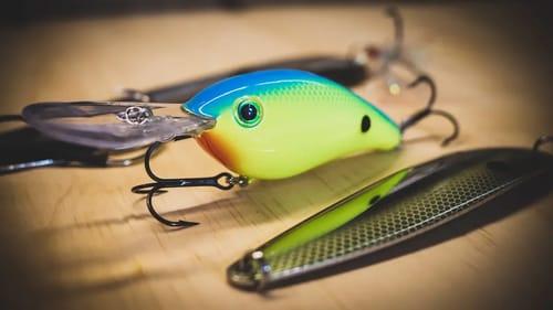 Summer Bass Fishing: How To Catch Deep Schooling Bass