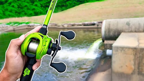 Catching Bass EVERY CAST - UNREAL Day of Fishing!